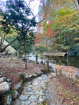 2024-11-24-(25).jpg