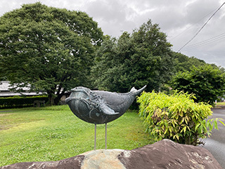 2024-6-30-(52).jpg