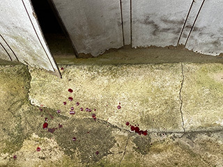2024-9-28-(9).jpg