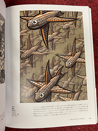 ESCHER-b-Depth.jpg
