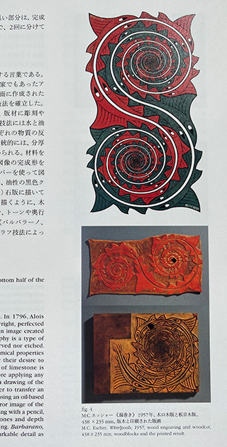 ESCHER-book2.jpg