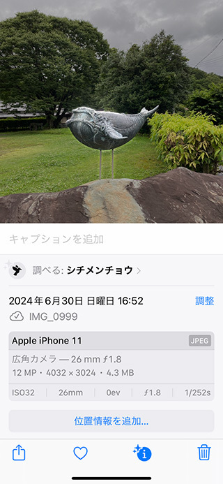 iPhone-Amano.jpg