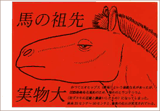 nenga2002-1.gif