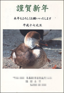 nenga2005-6.jpg