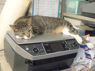 2007-8-3.jpg