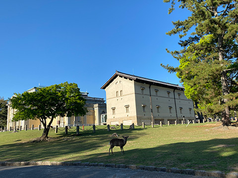 2025-4-24-(83).jpg