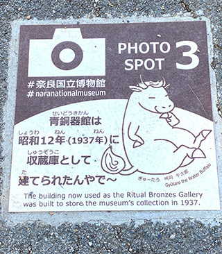 2025-4-24-(84).jpg