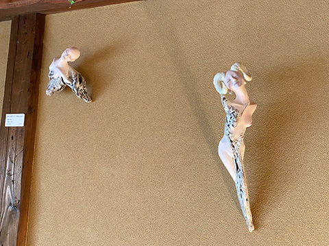2025-5-11-(76).jpg